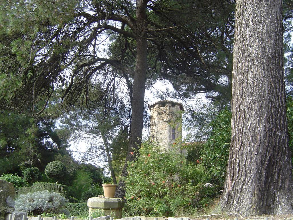 Chateau D'Agel Chambres D'Hotes Exteriör bild