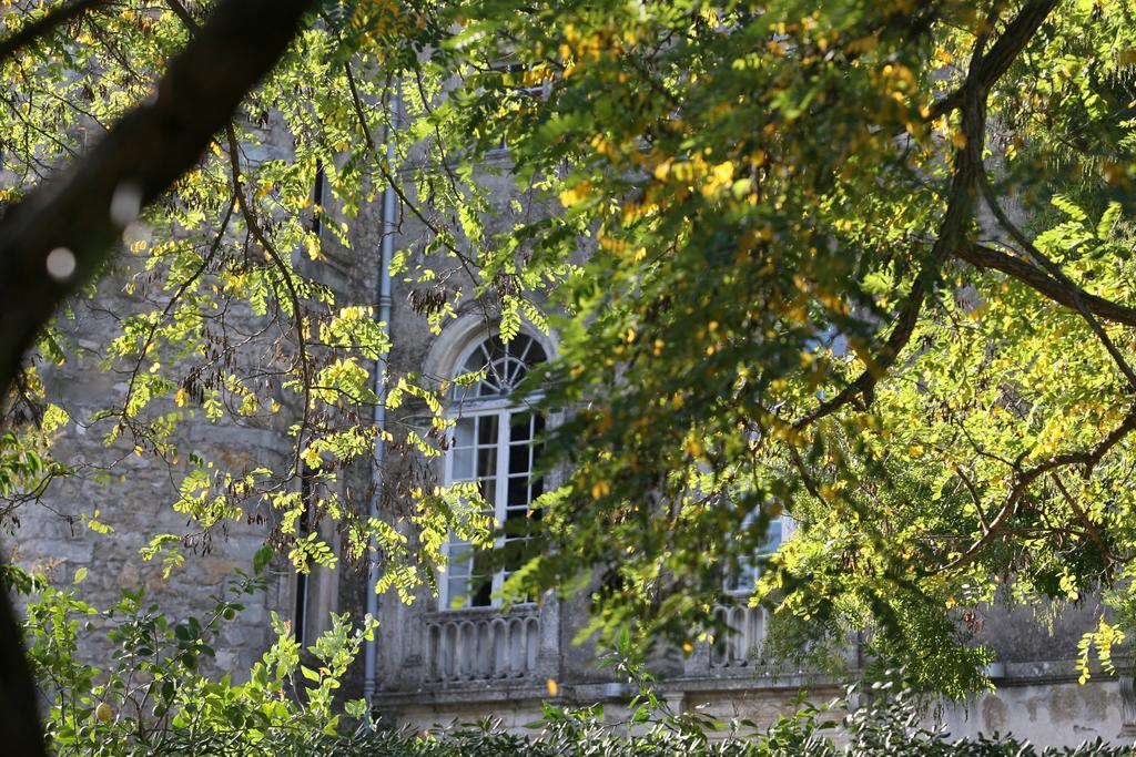Chateau D'Agel Chambres D'Hotes Exteriör bild